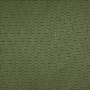 Prestigious Moda Franco Moss Roman Blinds